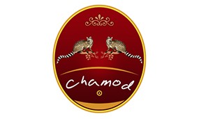 Graphic Design Chamod