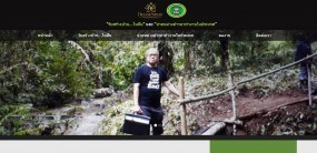 stressfree-dreamcaught